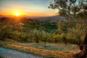 Sant'Ilario sul Farfa - Agosto2017 (1)